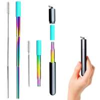 Drinking Straw Telescopic Portable Stainless Steel Straw with Cleaning Brush in Capsule Case